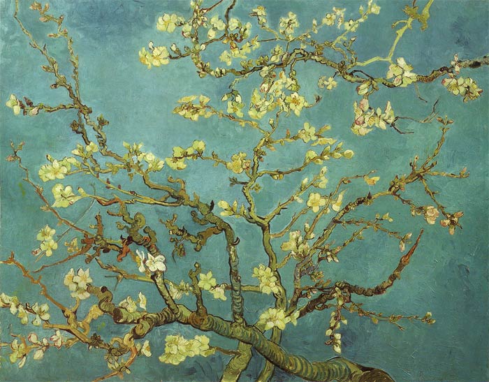 Oil Painting Reproduction of van Gogh - Almond Blossom