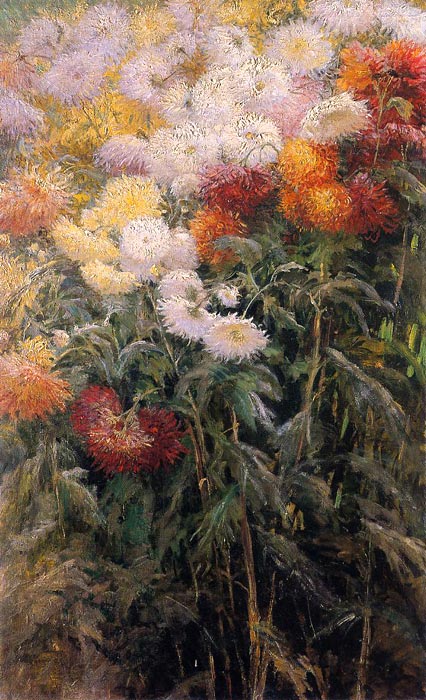 Chrysanthemums, Garden at Petit Gennevilliers