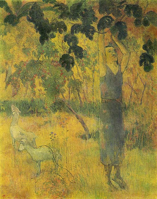 Oil Painting Reproduction of Gauguin- Man Picking Fruit