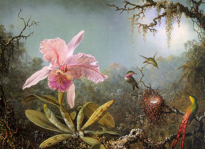 Oil Painting Reproduction of Heade- Cattleya Orchid and Three Brazilian Hummingbirds