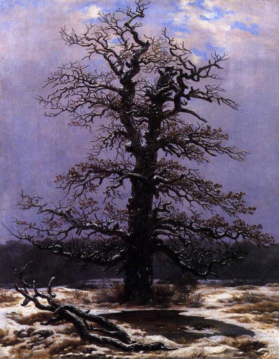 Friedrich Oil Painting Reproductions - Oak in the Snow