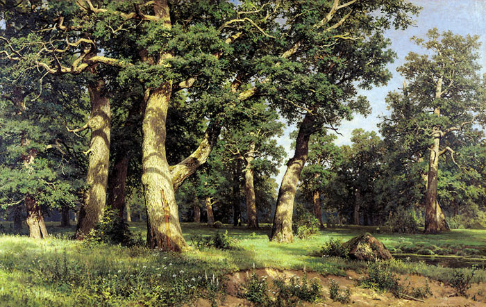 Oil Painting Reproduction of Shishkin - Oak Grove