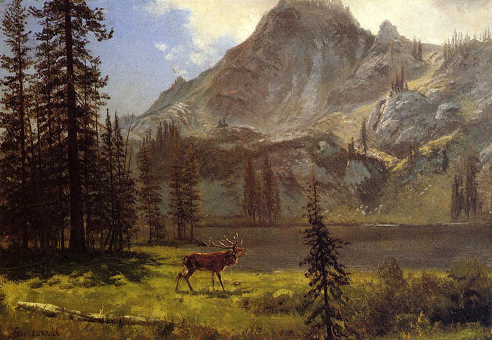 Bierstadt Oil Painting Reproductions - Call of the Wild