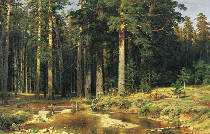 Oil Painting Reproduction of Shishkin - Mast-Tree Grove
