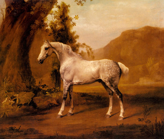 Stubbs Oil Painting Reproductions - A Grey Stallion In a Landscape