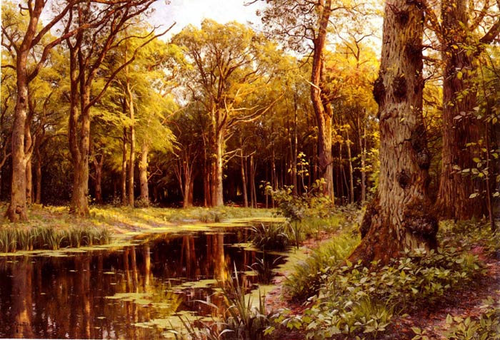 Monsted Oil Painting Reproductions - A Forest Stream