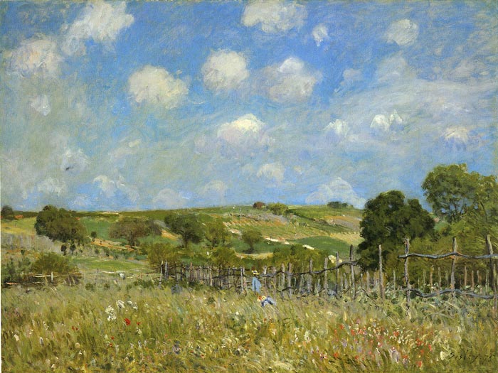 Oil Painting Reproduction of Sisley- Summer