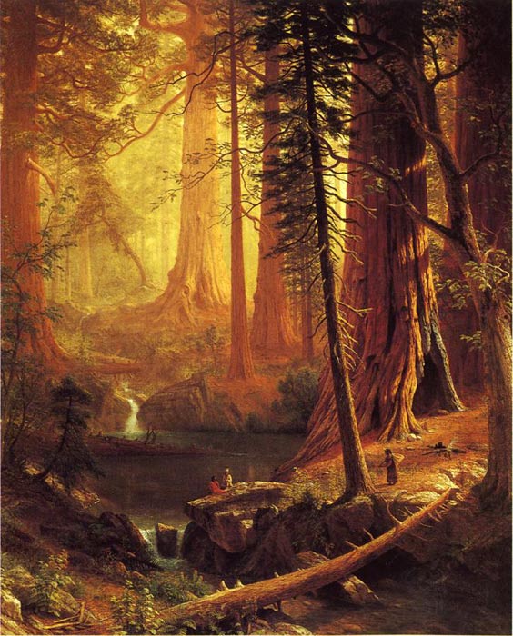 Bierstadt Oil Painting Reproductions - Gianat Redwood Trees of California