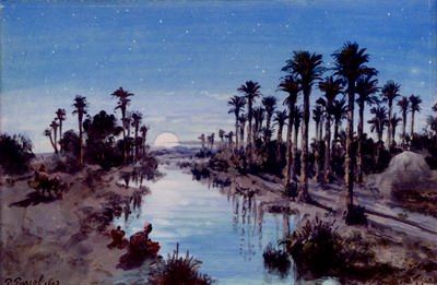 An Oasis At Night