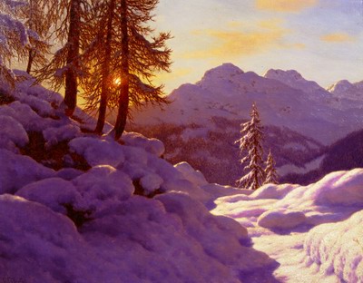 Snowy Landscape