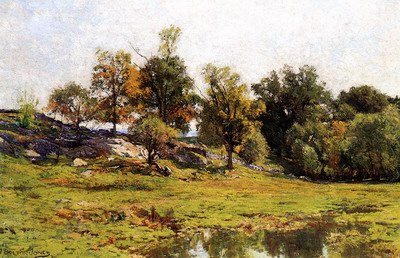 Summer Landscape