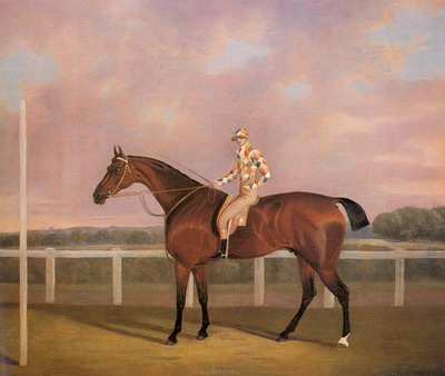 Memnon, a Chestnut Racehorse, With Jockey Up
