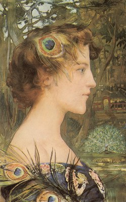 Peacock profile