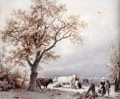 Cows In A Sunlit Meadow
