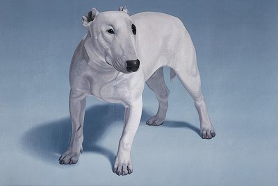 pitbull
