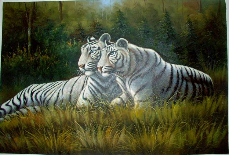 art oil paintings Art Oil Painting Animal Animal painting