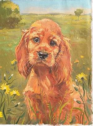 oil paintings oil painting picture Animal oil painting