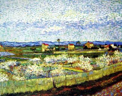 van oil painting replica painting Van Gogh oil painting