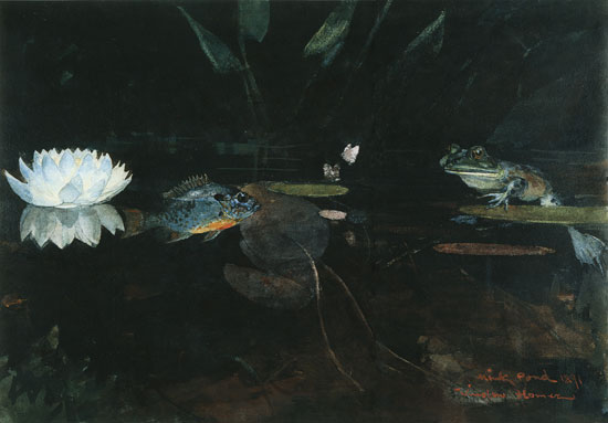 The Mink Pond, homer