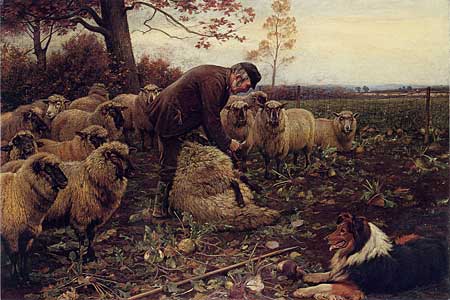 The Shepherd