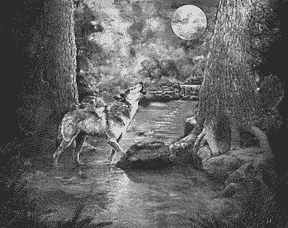 Wolfmoon II, Joyce Gibson