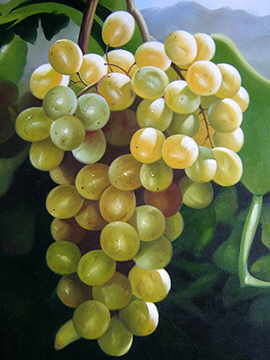 Grapes