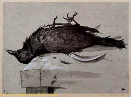 A dead raven