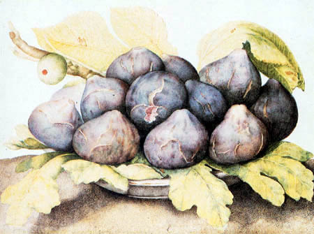 A plate of figs