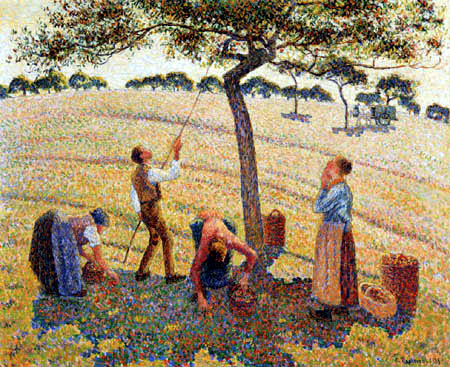 Apple harvest in Eragny