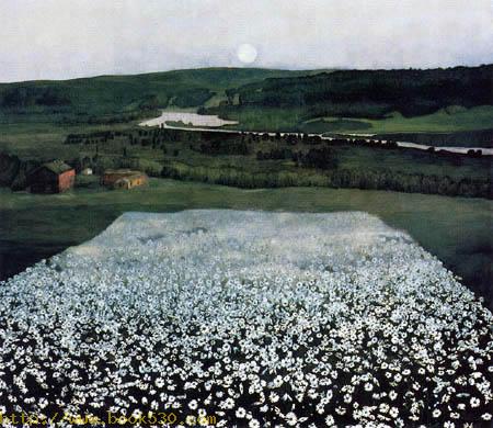 Flower meadow in the north