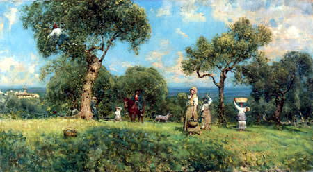 Gathering Olives