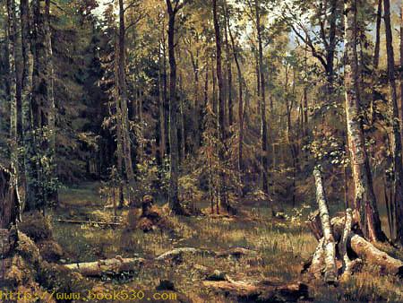 Mixed forest, Schmerzk near Narwa