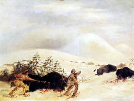 Buffaloherd in snow