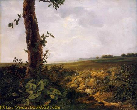 Landscape, Praesto