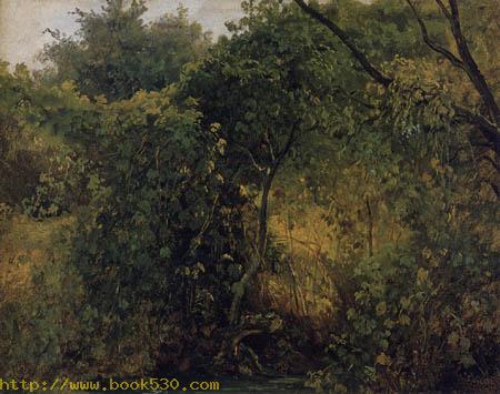 Wooded landscape, Pillnitz