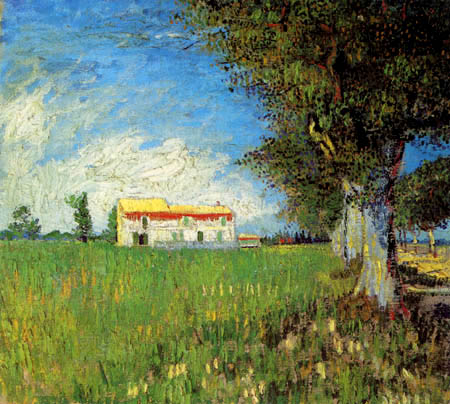 Farmhouse in a wheatfield