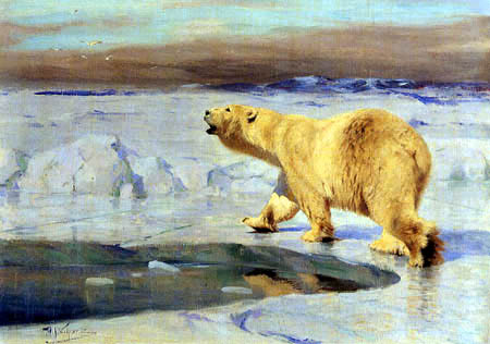 Polar bear at the water hole