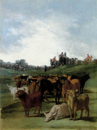 Selection of bulls