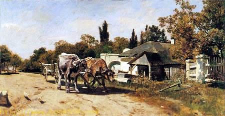 Team of oxen near Ebreichsdorf