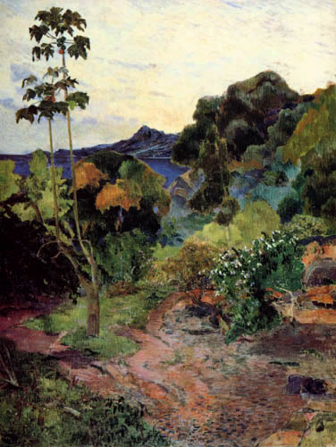 Tropical Landscape