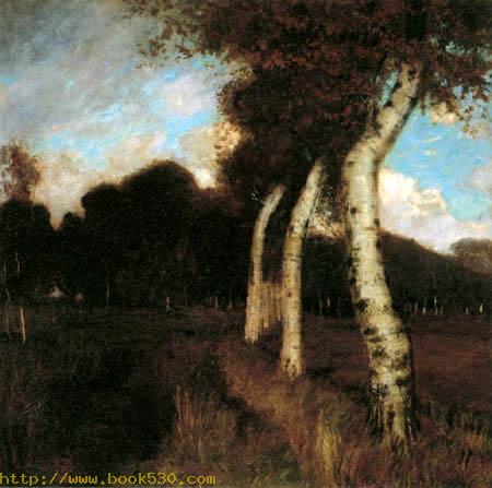 Birch trees in a moor