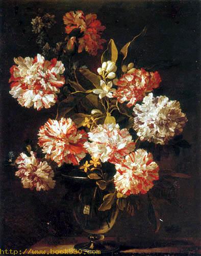 Carnations in a glass vase