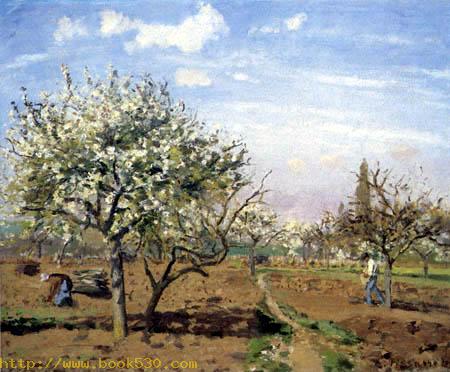 Flowering orchard