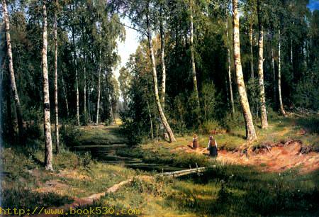 Stream in the forrest