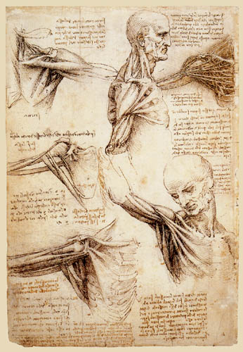 Study of anatomy