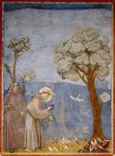 The bird sermon of St. Francis