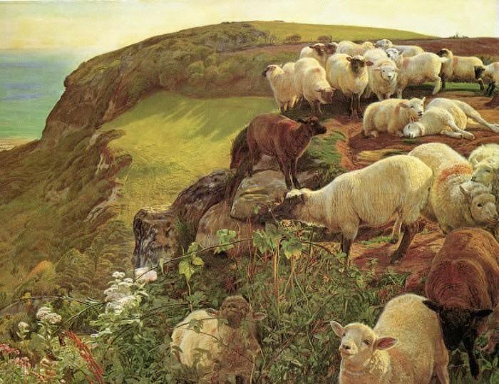 Our English Coasts (Strayed Sheep)