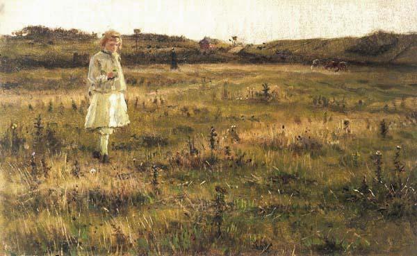 A Summer Meadow