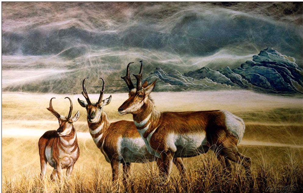 Animal oil painting