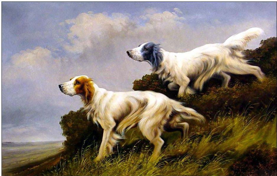 Animal oil painting